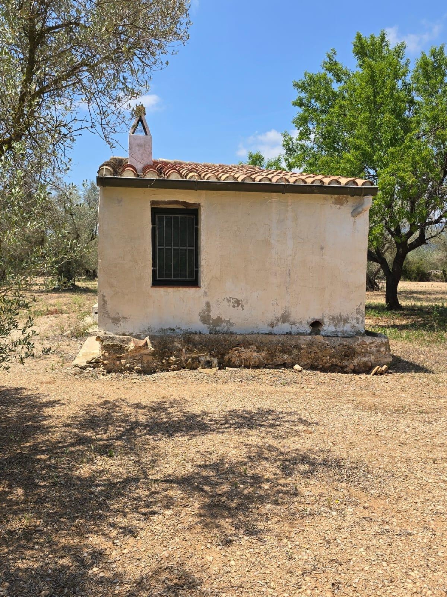 till salu tomt Mas De Barberans Montsià 3