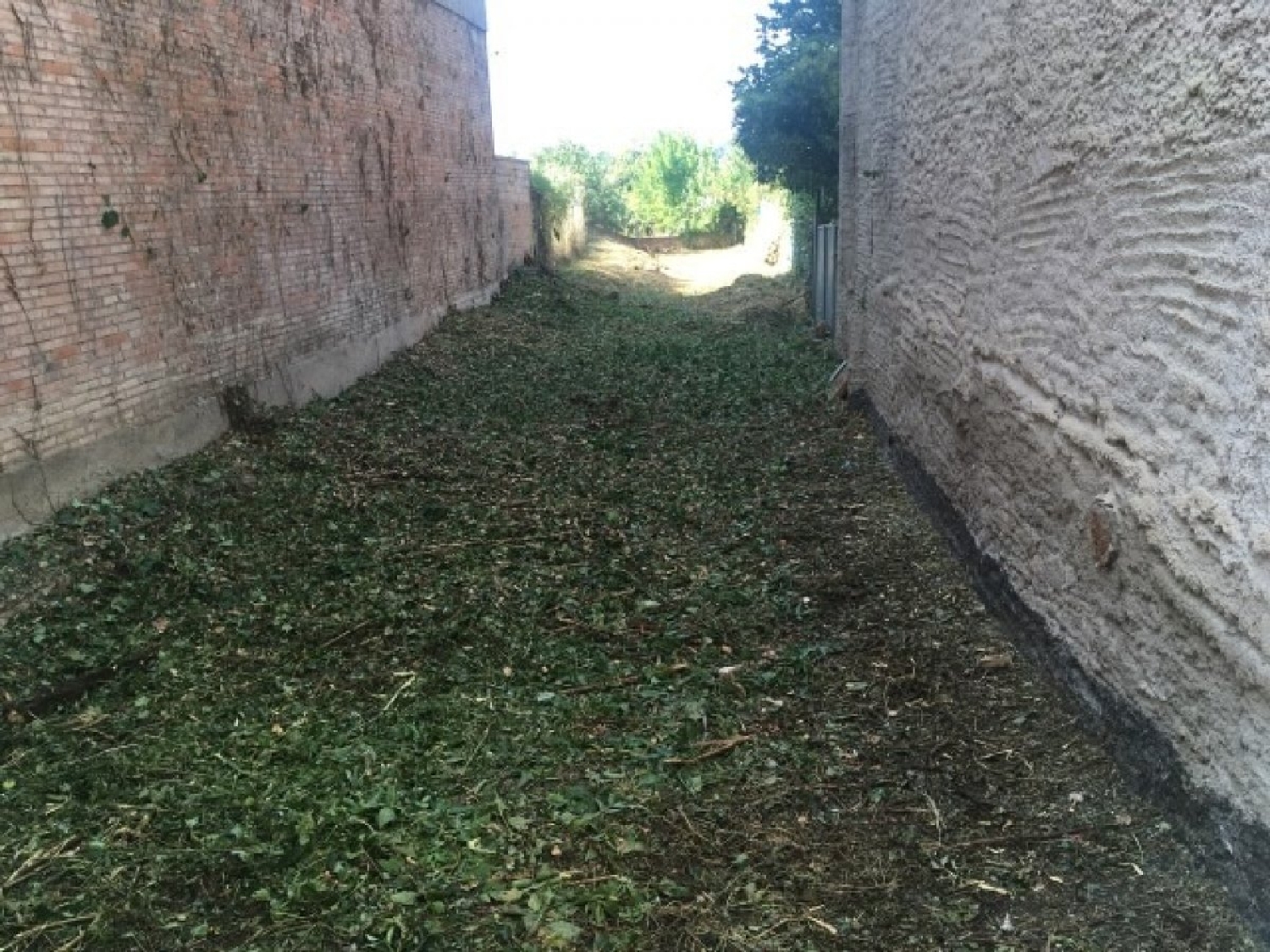 till salu tomt Mas D'en Pla Bages 2