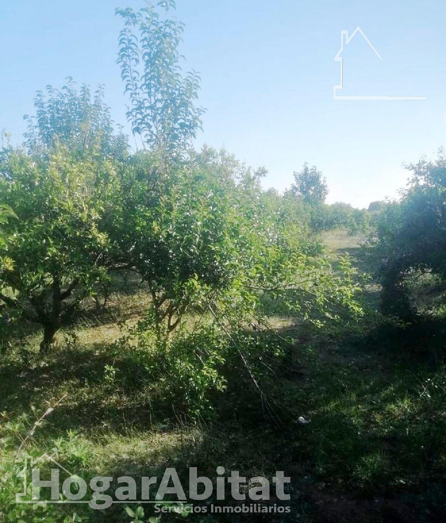 till salu tomt Mas La Pobla De Bellestar Alt Maestrat 3