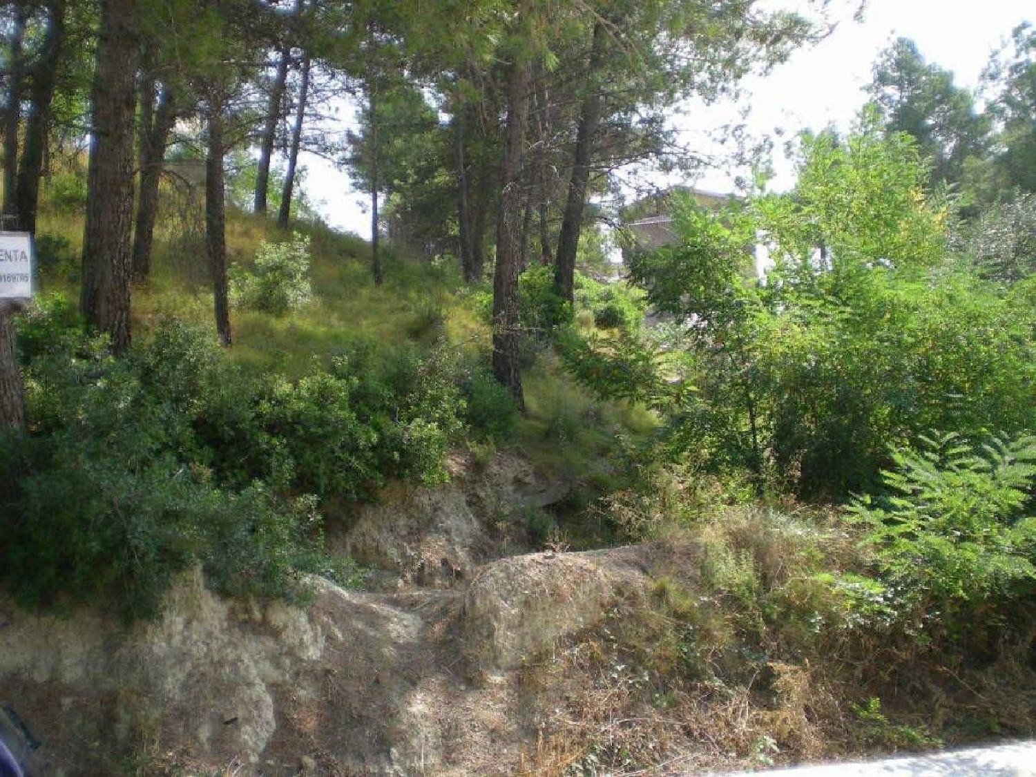 till salu tomt Mas Planoi Bages 2