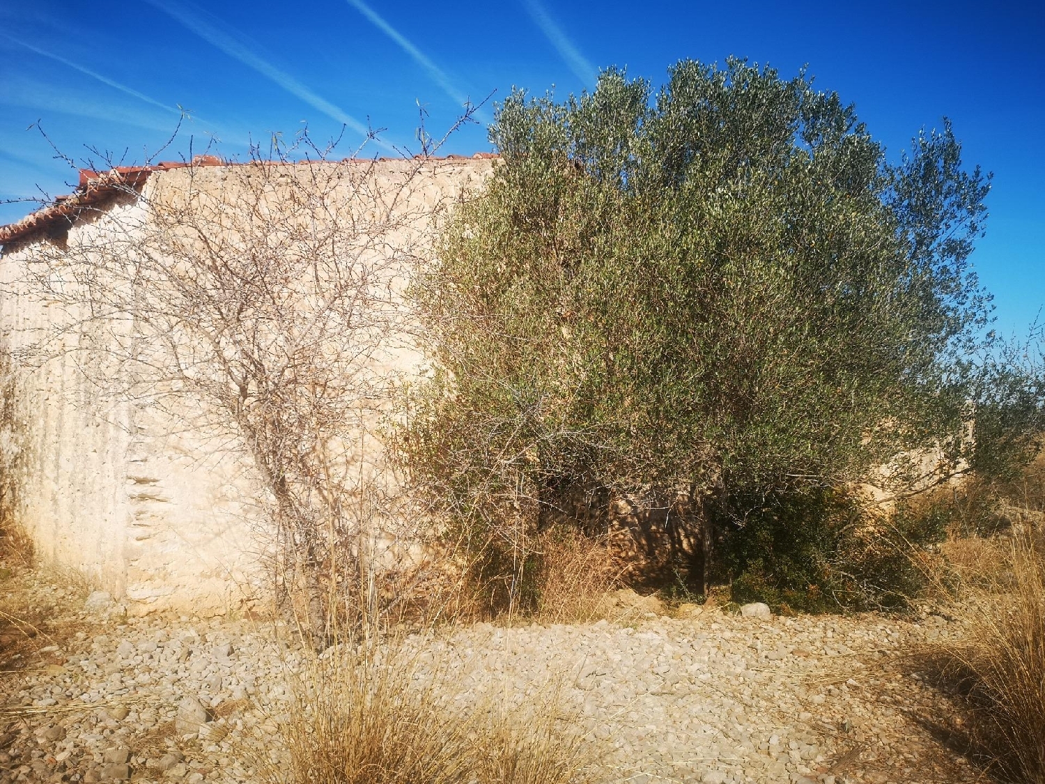  till salu tomt Masia Avench Baix Maestrat 8