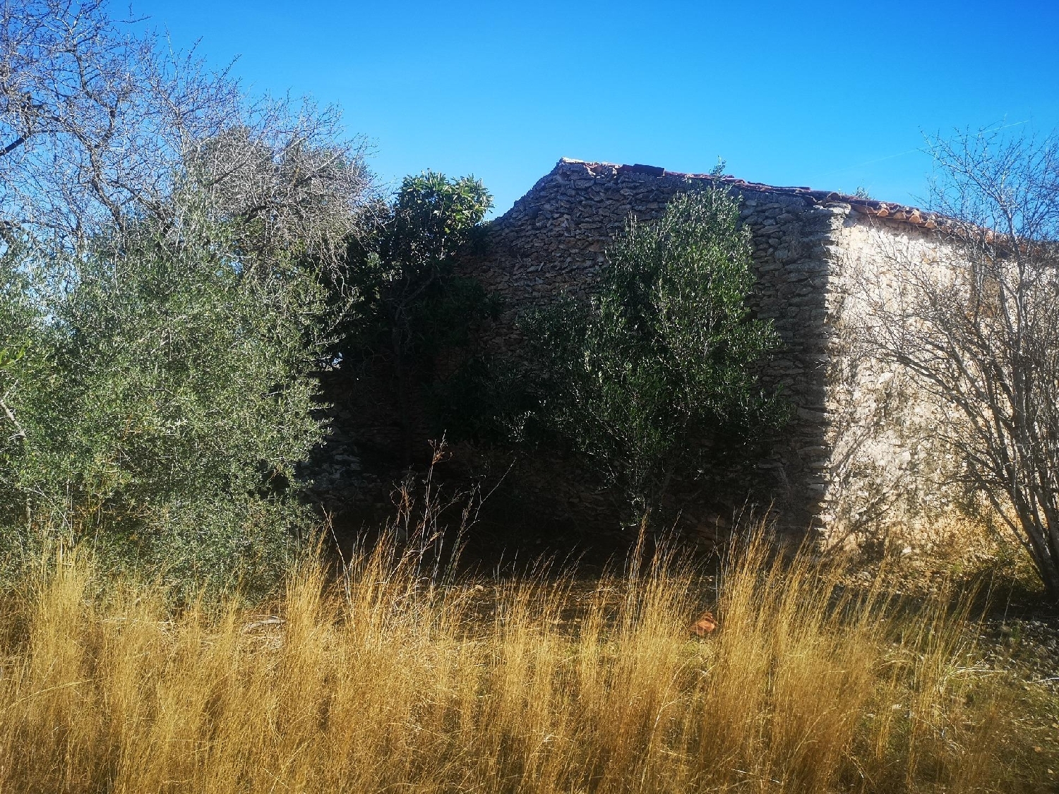 till salu tomt Masia Avench Baix Maestrat 2