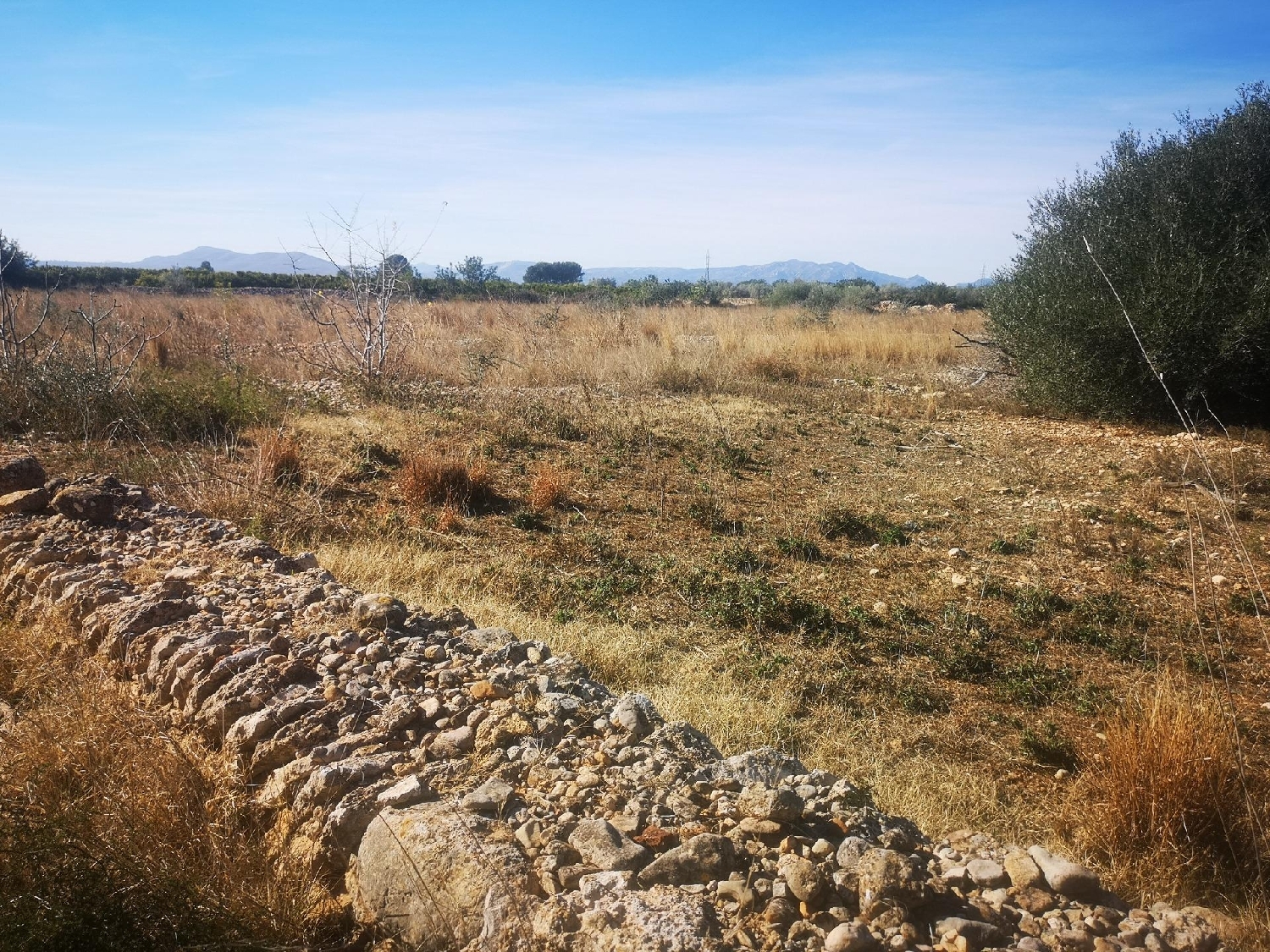  till salu tomt Masia Avench Baix Maestrat 4