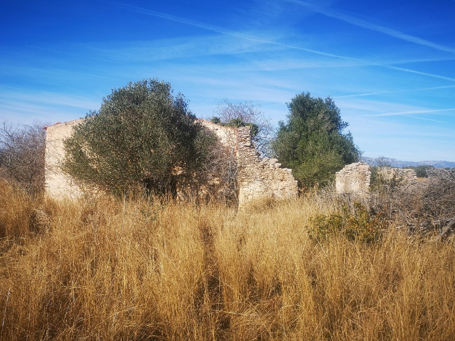 till salu tomt Masia Avench Baix Maestrat 3