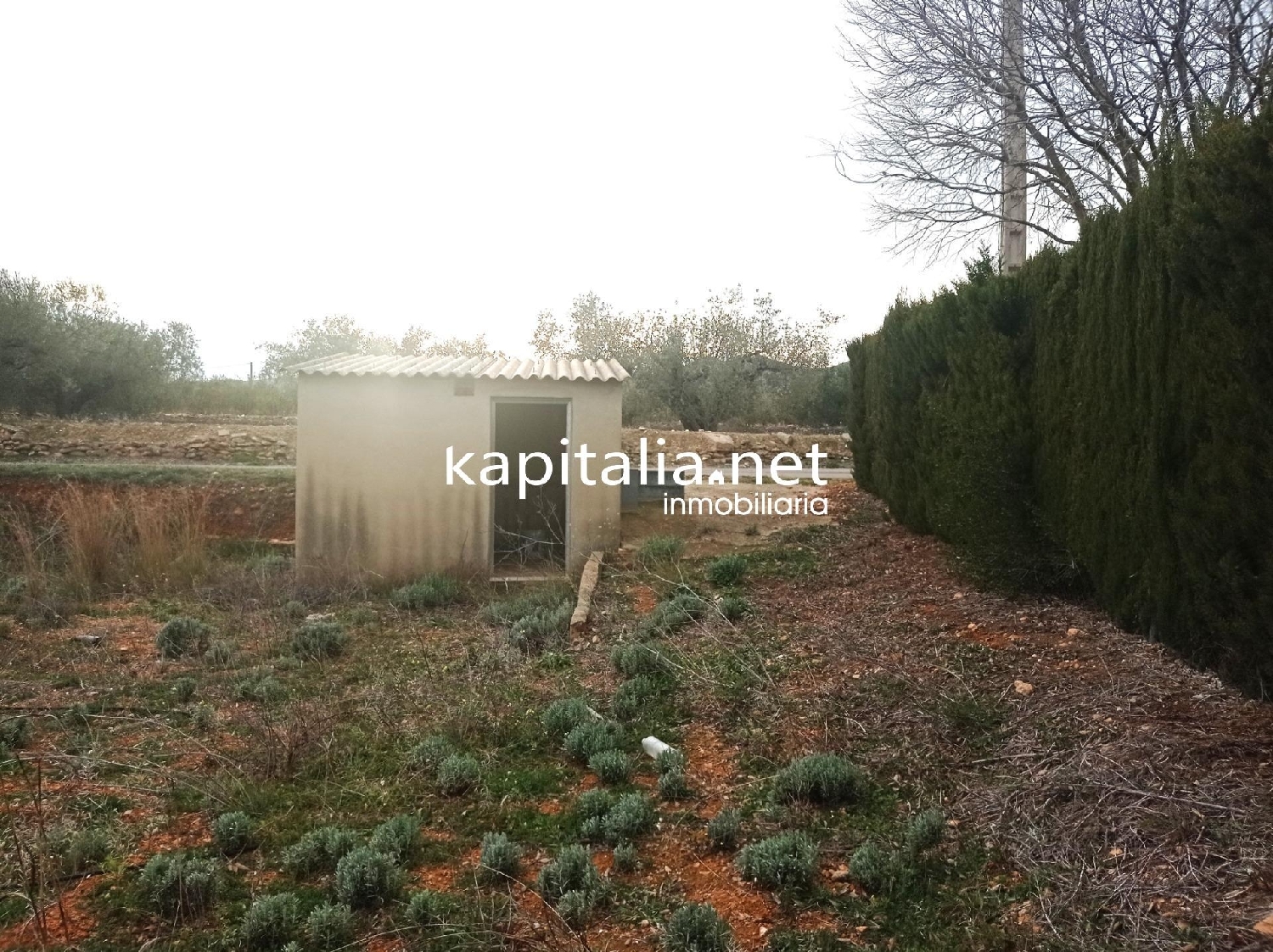  till salu tomt Masia Gimenez Camp De Túria 1