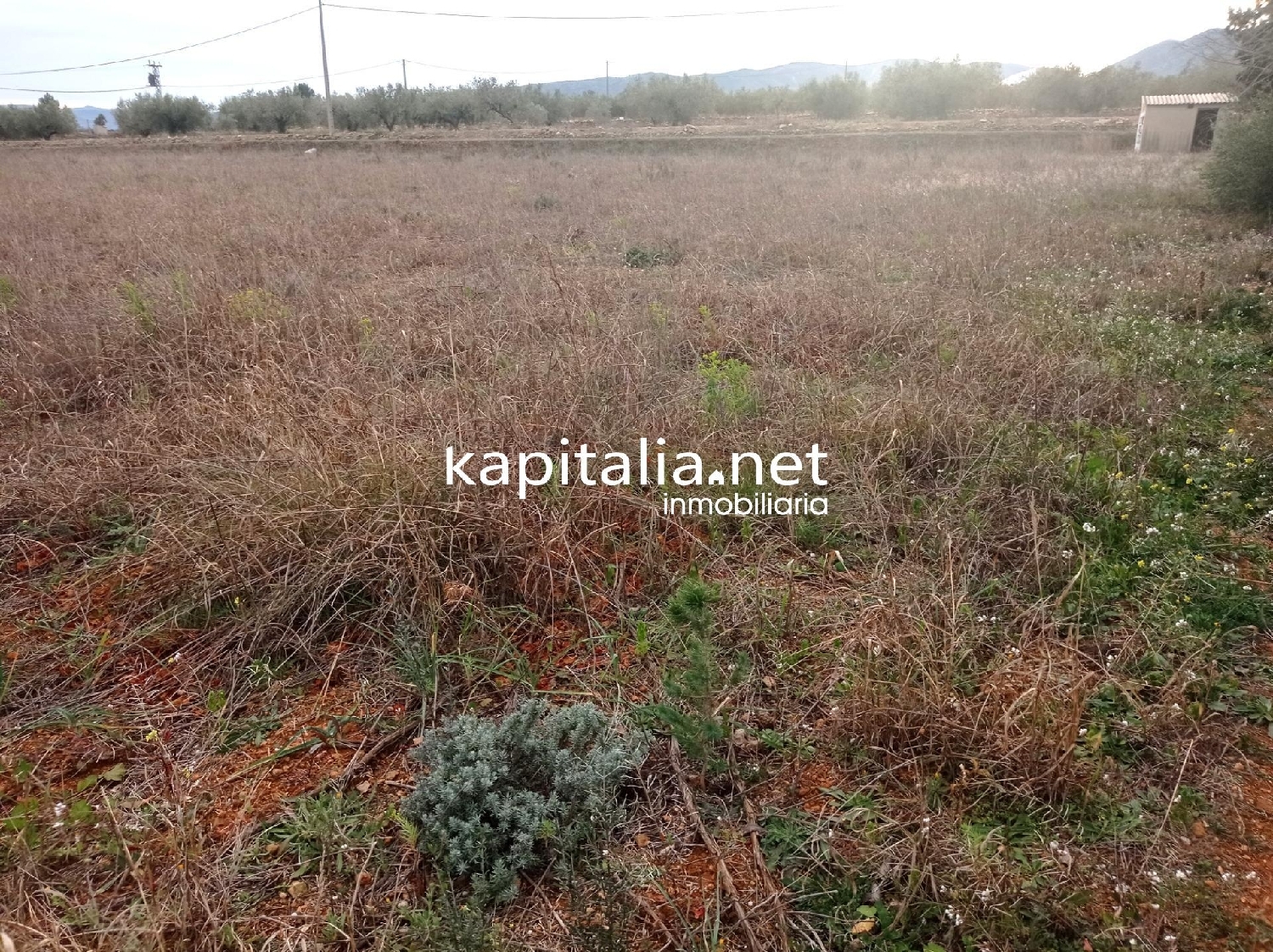 till salu tomt Masia Gimenez Camp De Túria 3