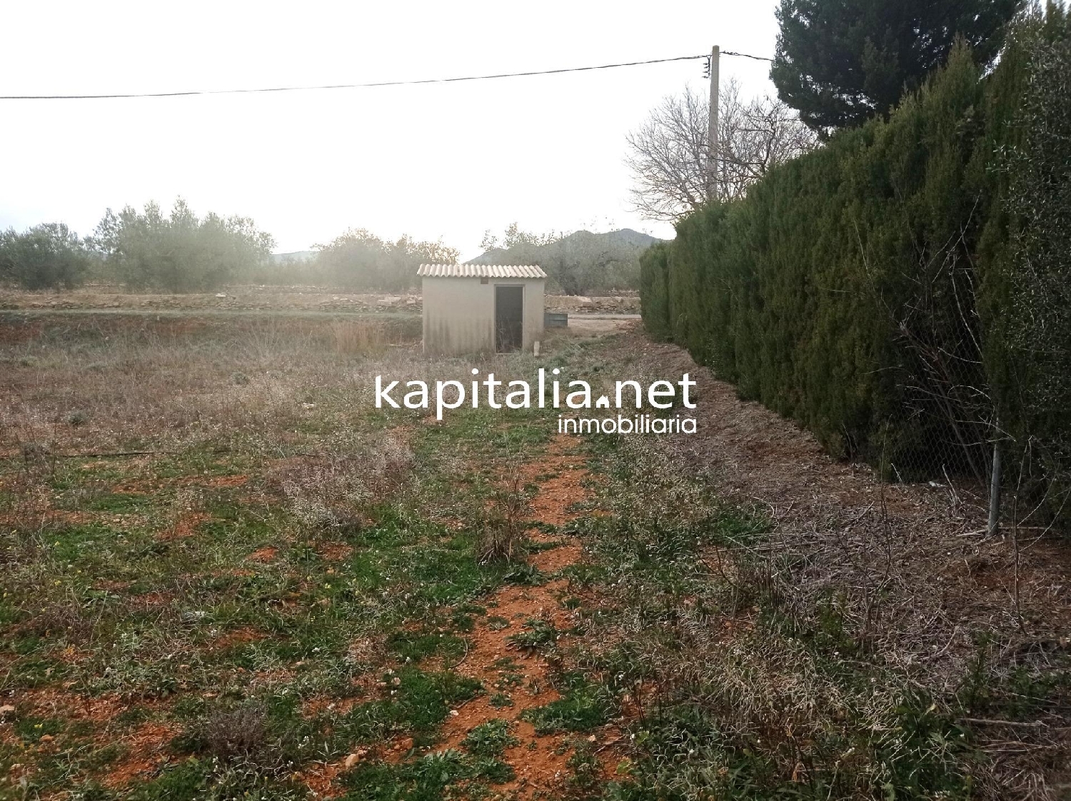 till salu tomt Masia Gimenez Camp De Túria 2