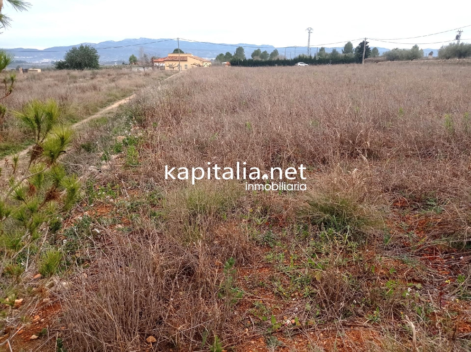  till salu tomt Masia Gimenez Camp De Túria 7