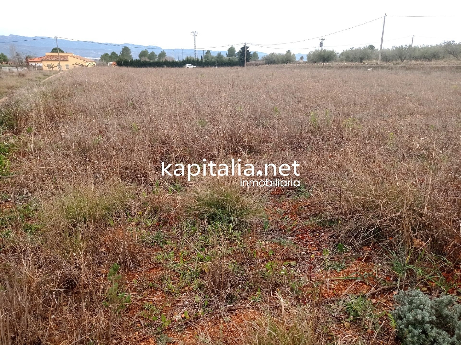 till salu tomt Masia Gimenez Camp De Túria 6