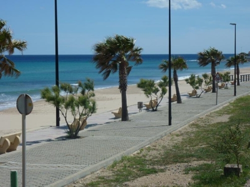 Masriudoms Baix Camp tomt foto 6257163