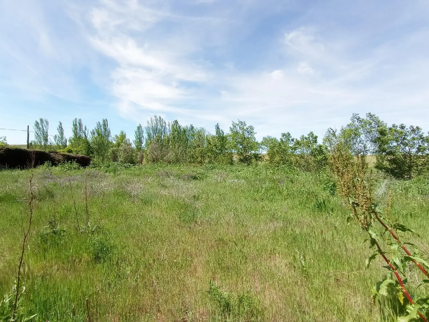  for sale plot Galisancho Tierra De Alba 1