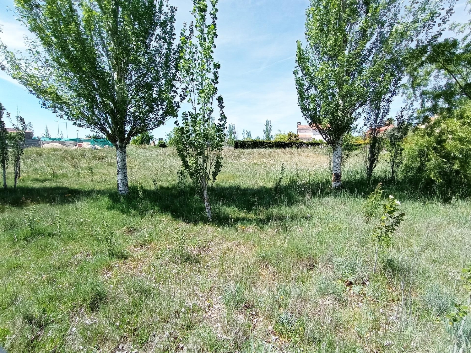  till salu tomt Matamala Tierra De Alba 7