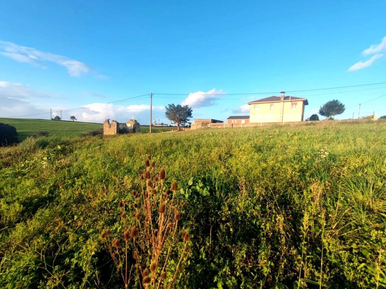  till salu lokal El Soto Campo De Salamanca 5