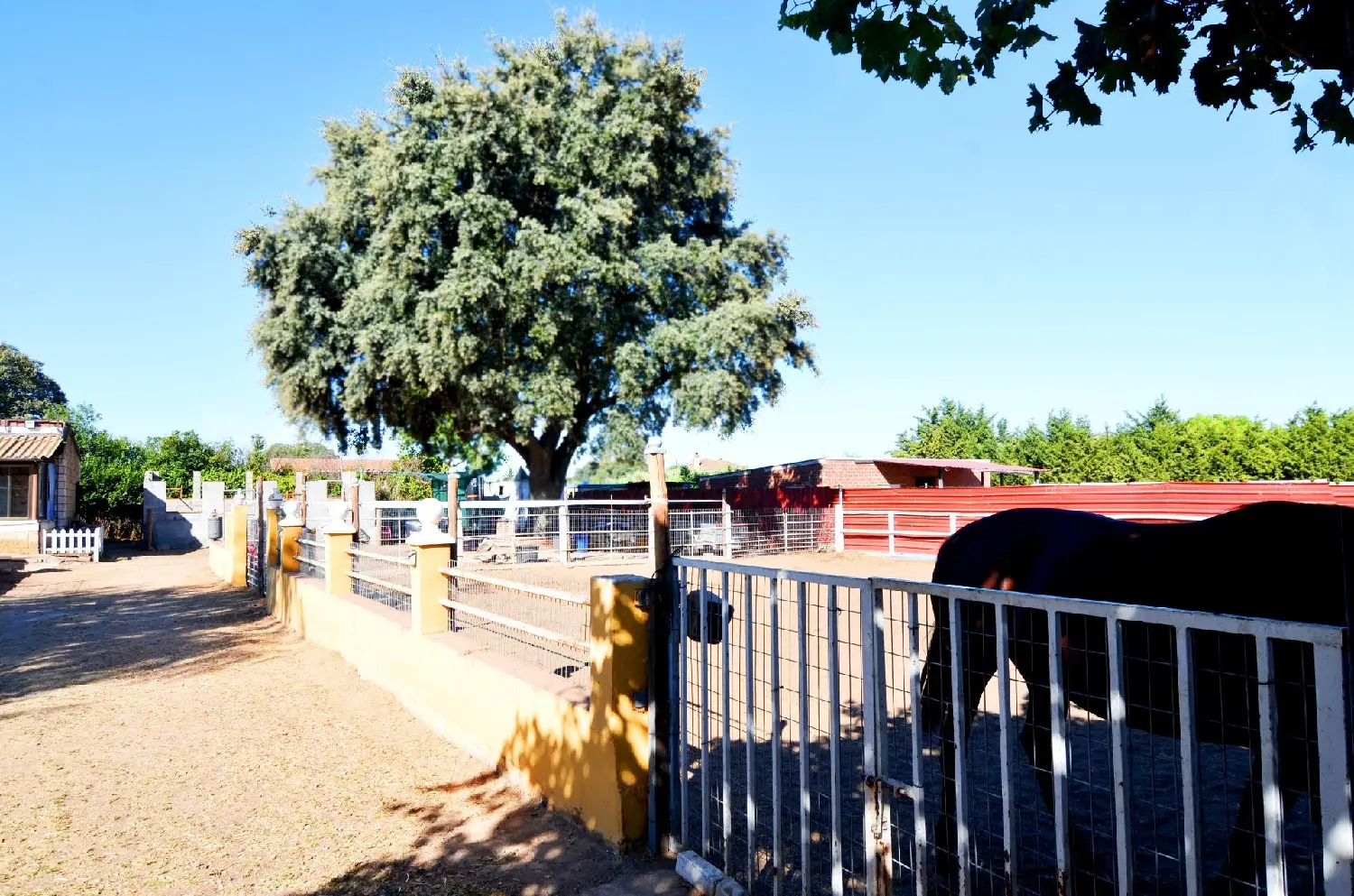  till salu tomt Aldeatejada Campo De Salamanca 1