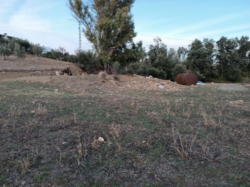 Miravalle Los Montecillos Valle Del Guadalhorce tomt foto 6252088