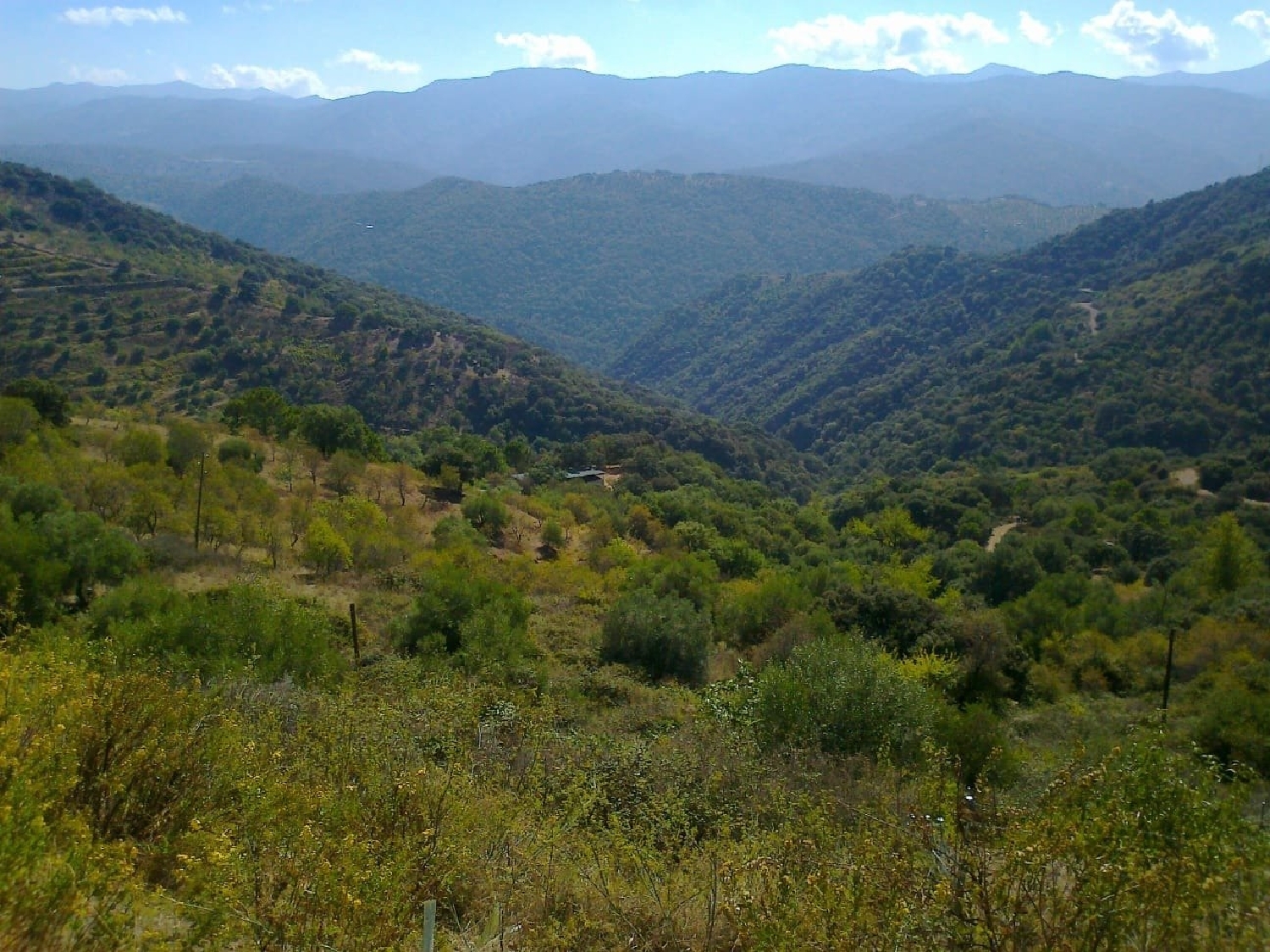  till salu tomt Moclinejo Axarquía 1