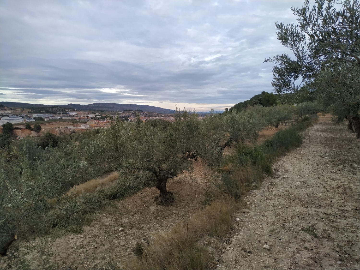 till salu tomt Mogente Costera (La) 2