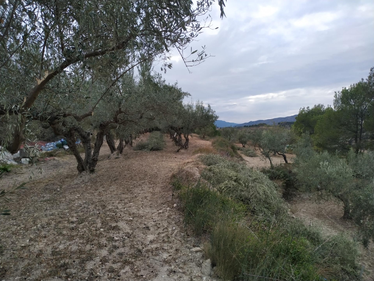 till salu tomt Mogente Costera (La) 3