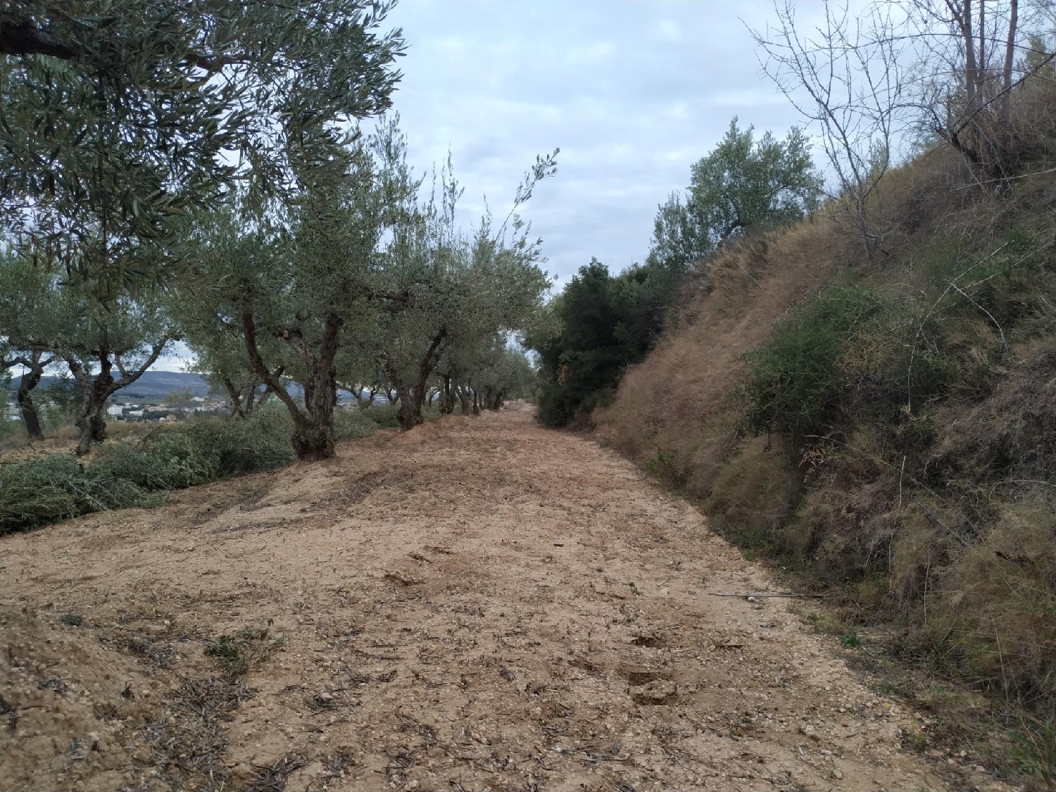  till salu tomt Mogente Costera (La) 5