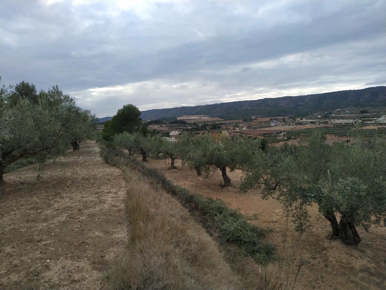  till salu tomt Mogente Costera (La) 1