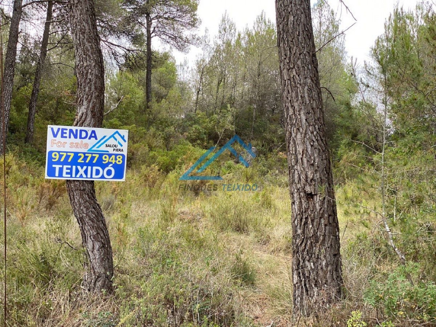 till salu tomt Molí Del Blanquillo Baix Penedès 3
