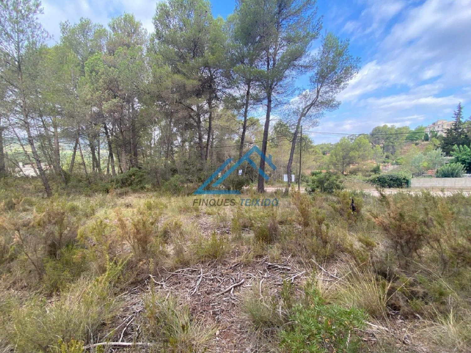  till salu tomt Molí Del Blanquillo Baix Penedès 4