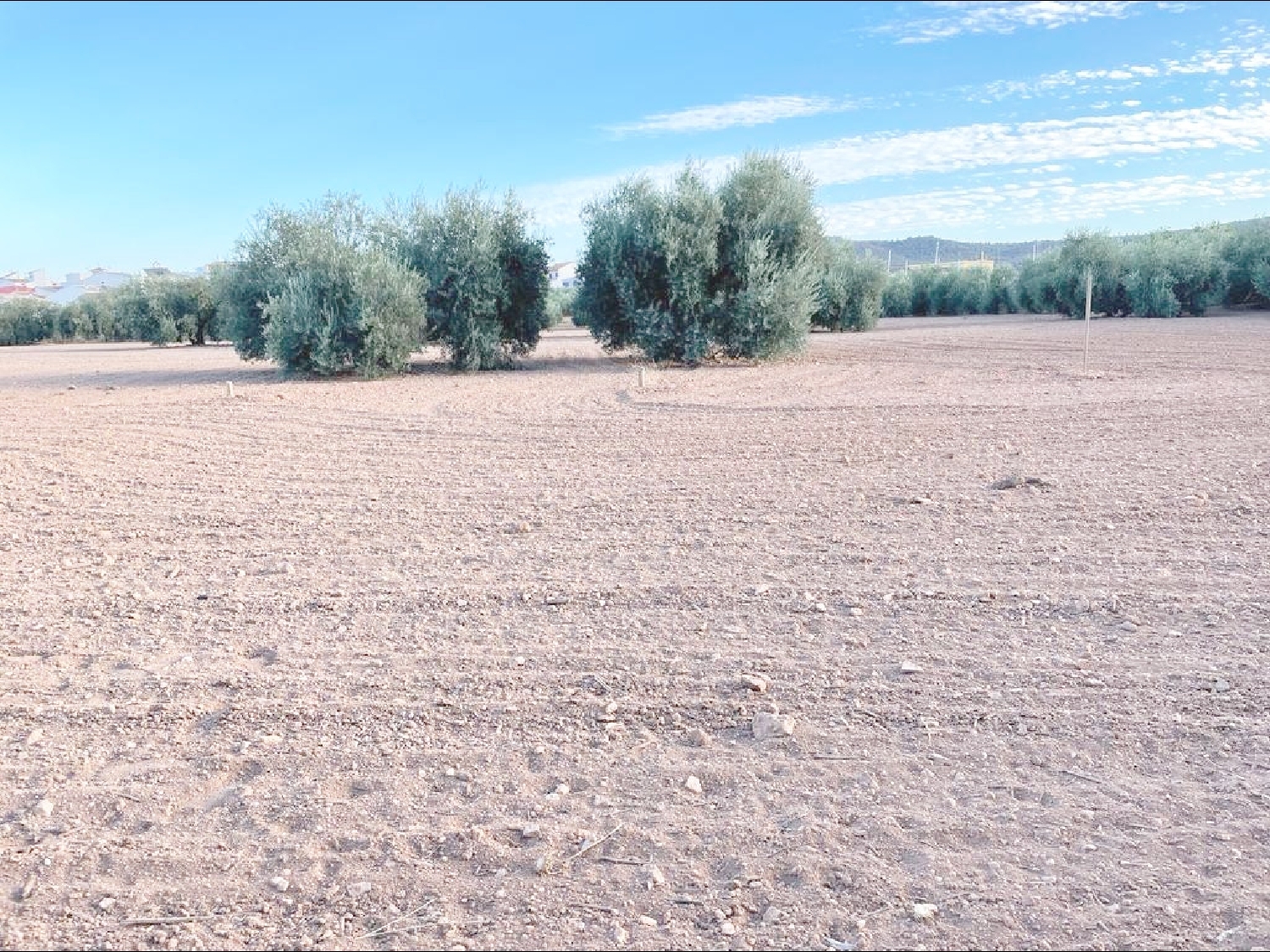  till salu tomt Mollina Antequera 5