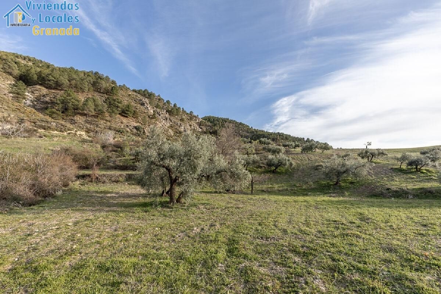 till salu tomt Monachil Vega De Granada 2