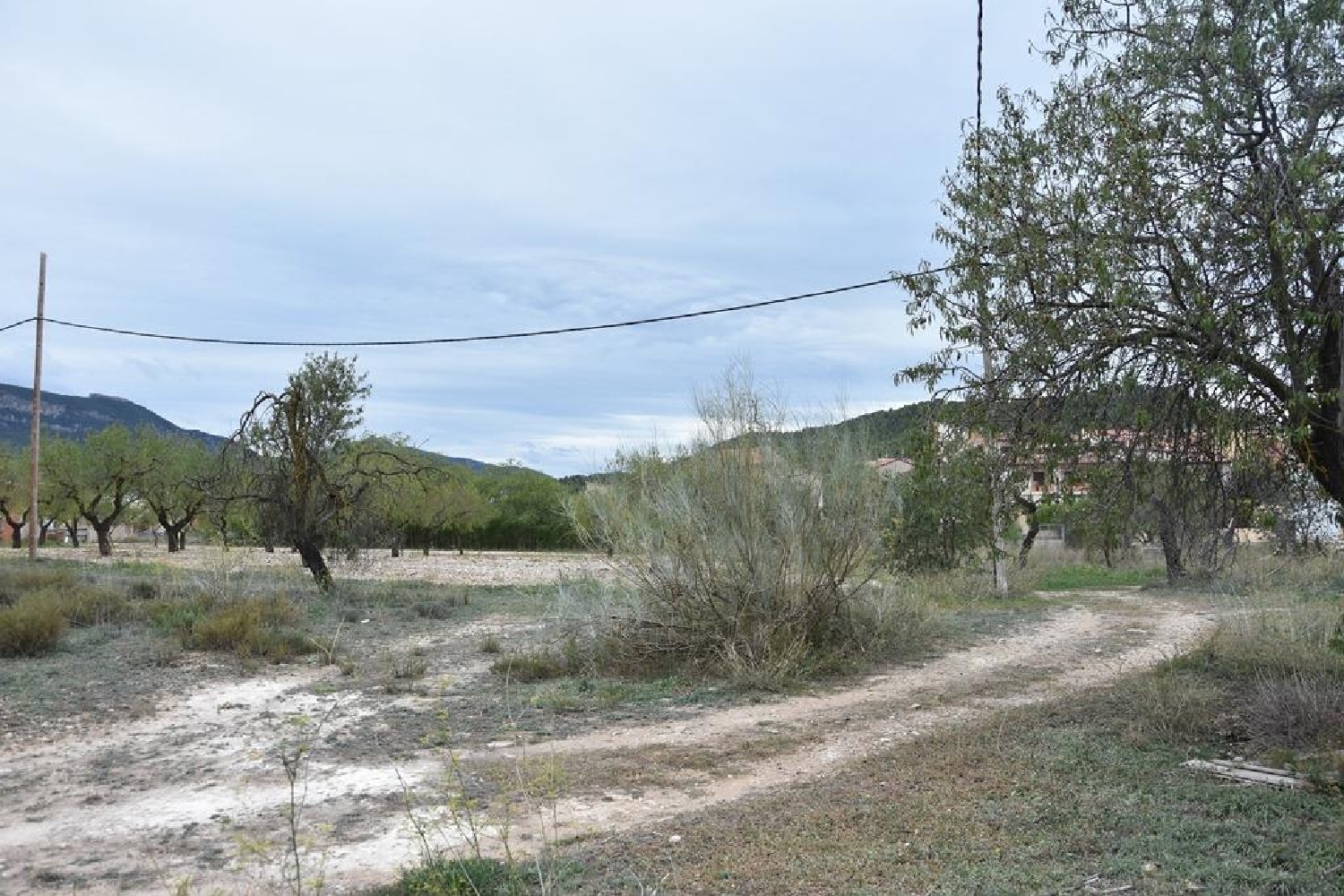  till salu tomt Monforte De Moyuela Jiloca 1