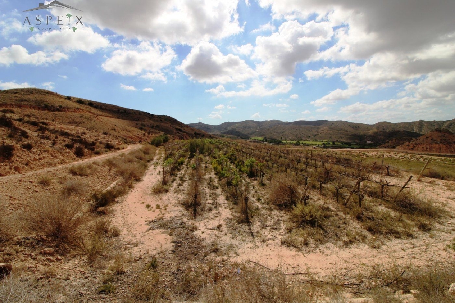  till salu tomt Monforte Del Cid Vinalopó Mitjà 4