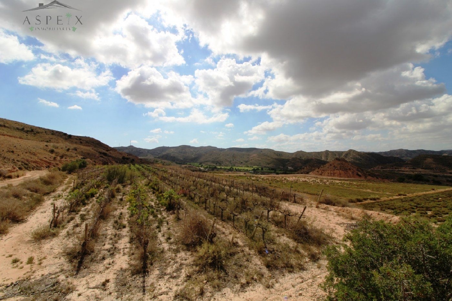 till salu tomt Monforte Del Cid Vinalopó Mitjà 3