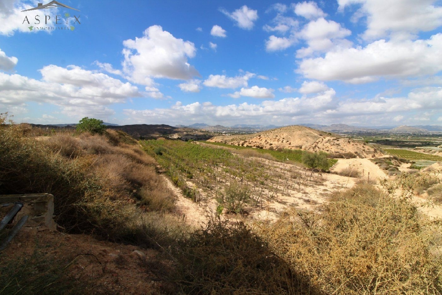 till salu tomt Monforte Del Cid Vinalopó Mitjà 7