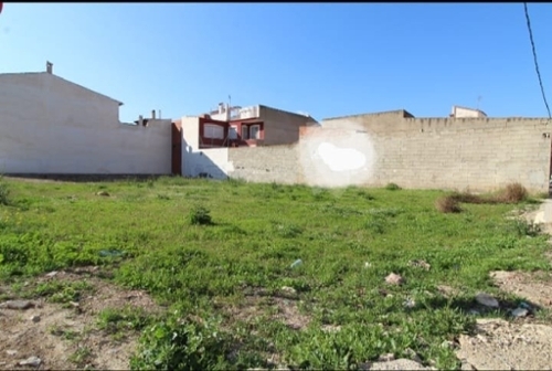 Monforte Del Cid Vinalopó Mitjà tomt foto 6226790