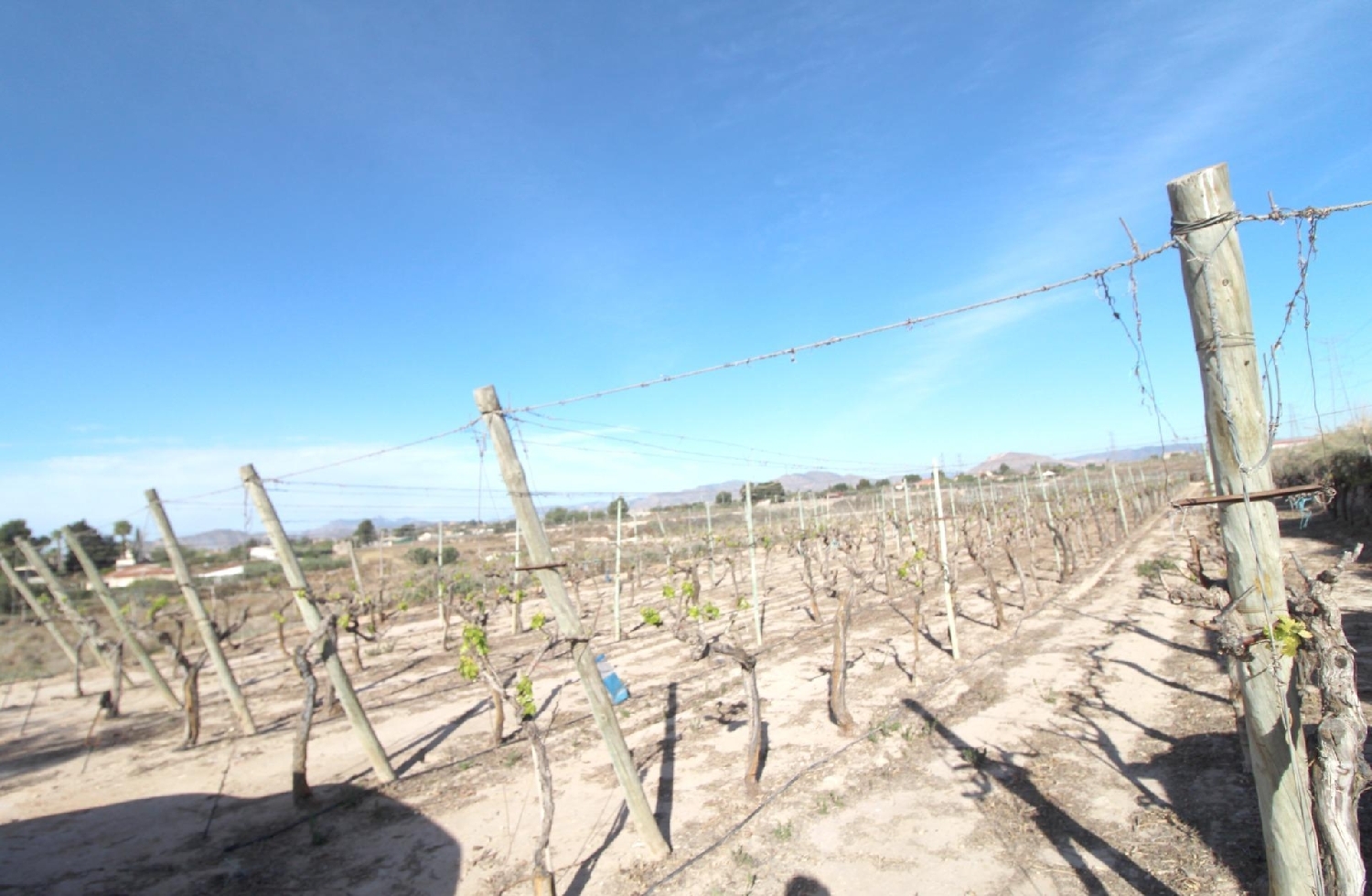 till salu tomt Monforte Del Cid Vinalopó Mitjà 2