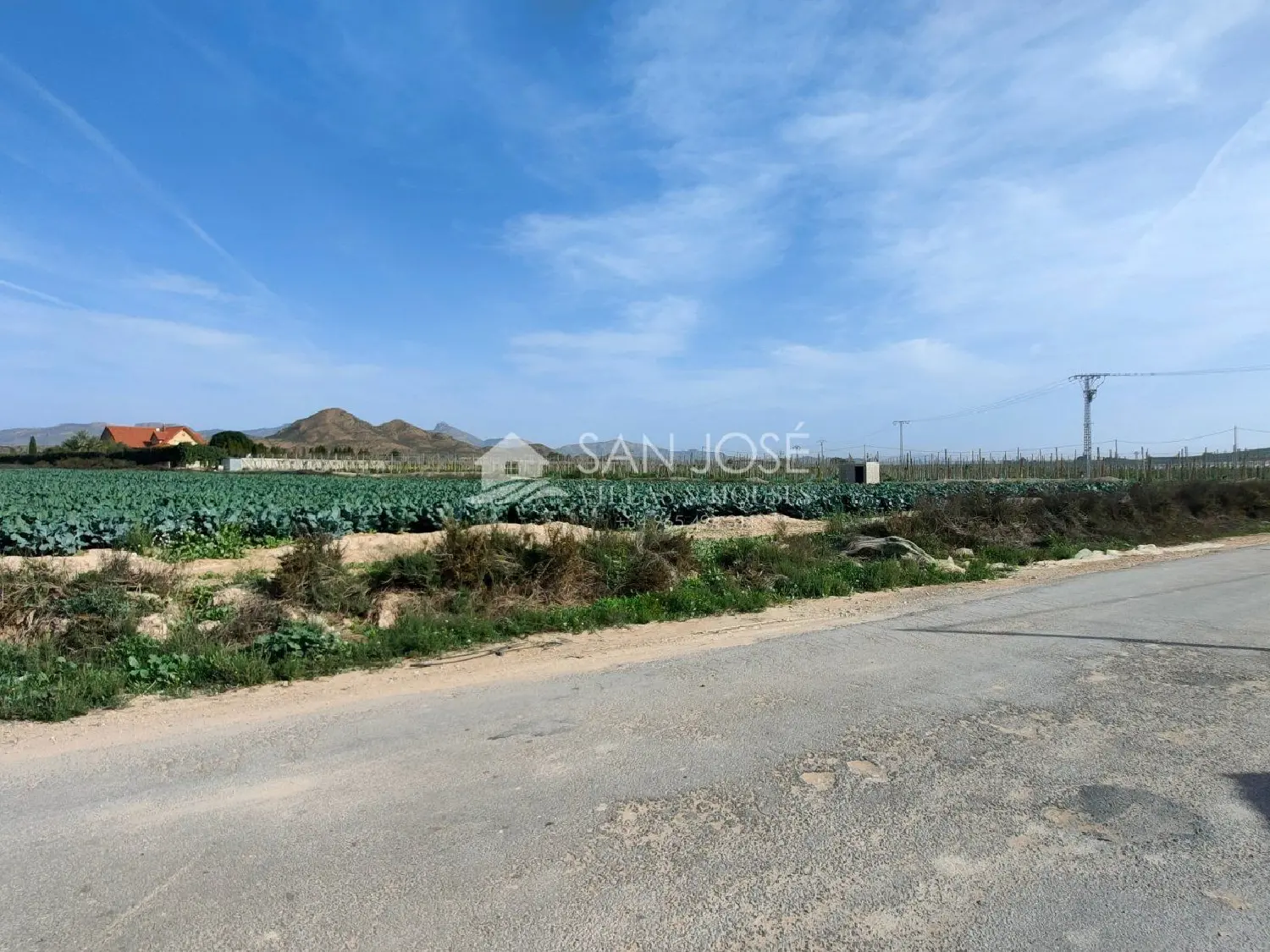  till salu tomt Monforte Del Cid Vinalopó Mitjà 4