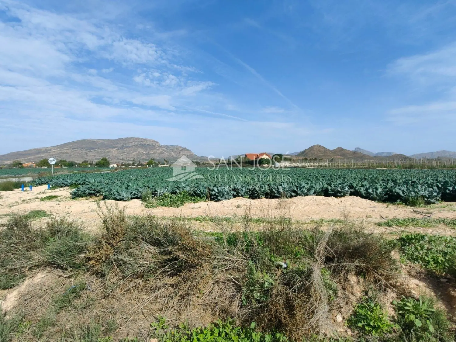  till salu tomt Monforte Del Cid Vinalopó Mitjà 5