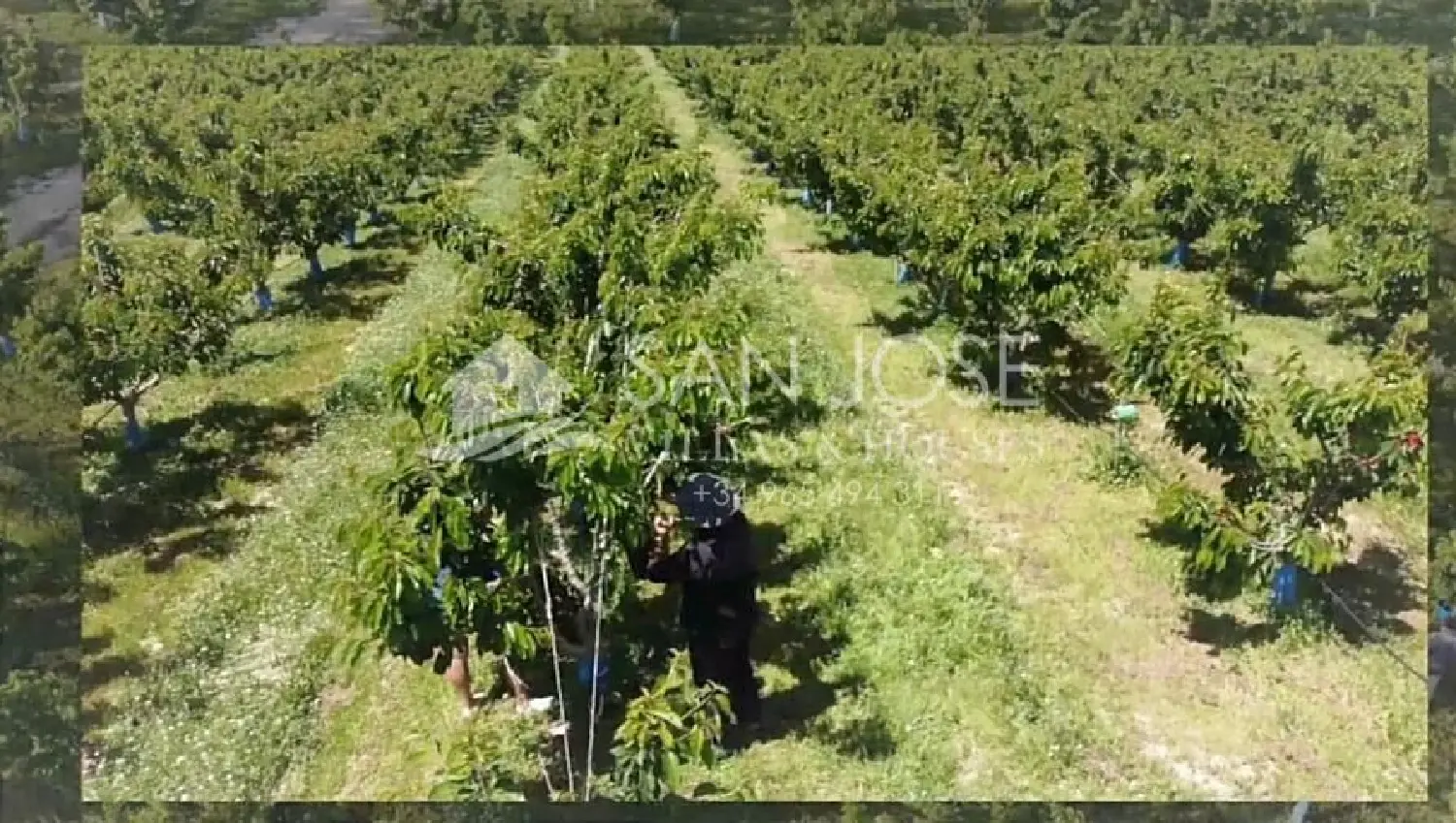  till salu tomt Monforte Del Cid Vinalopó Mitjà 4