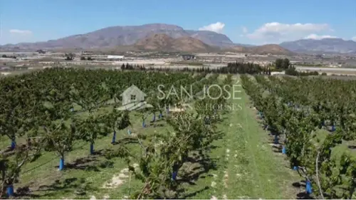 Monforte Del Cid Vinalopó Mitjà tomt foto 6191629