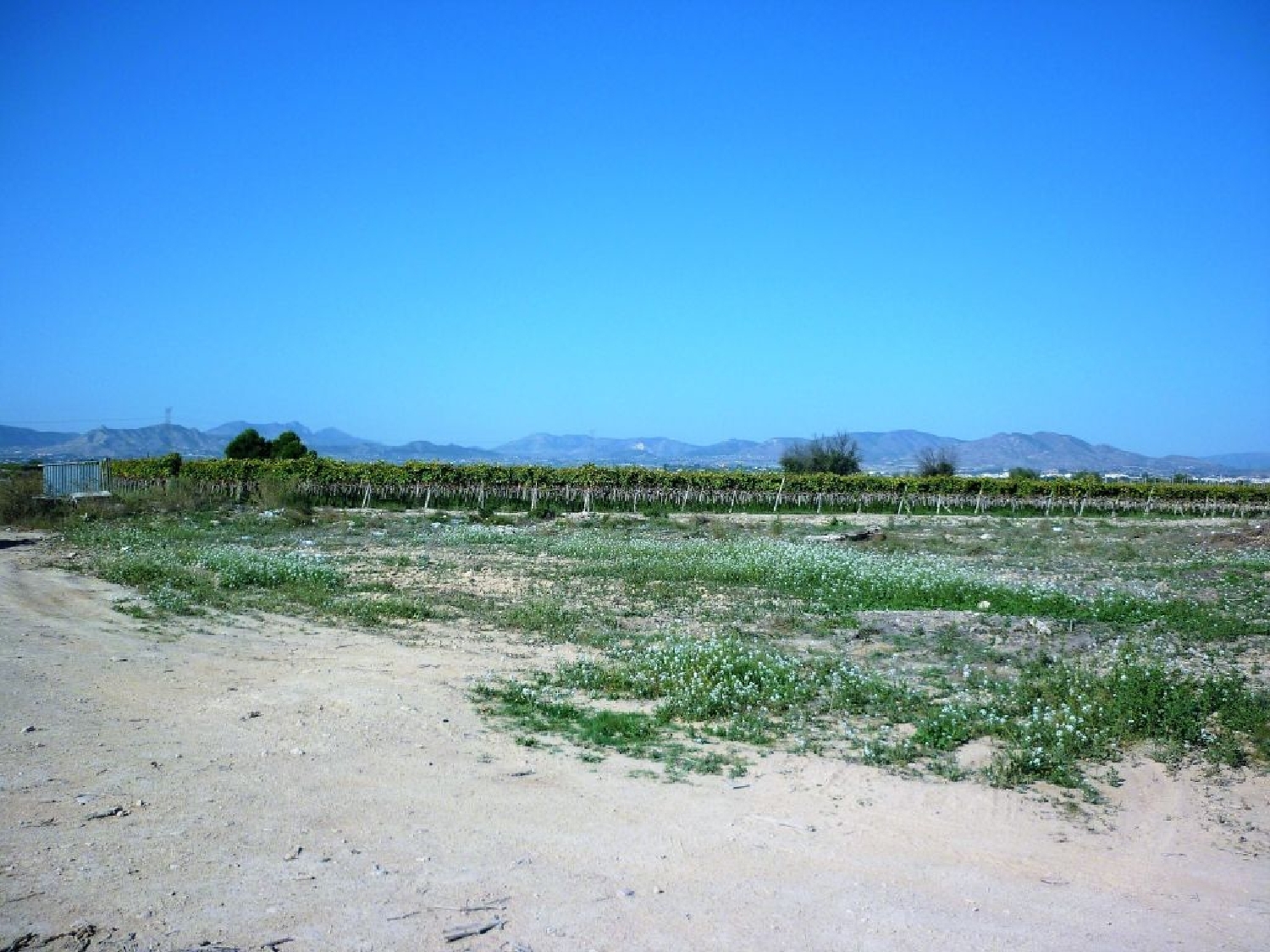  till salu tomt Monforte Del Cid Vinalopó Mitjà 4