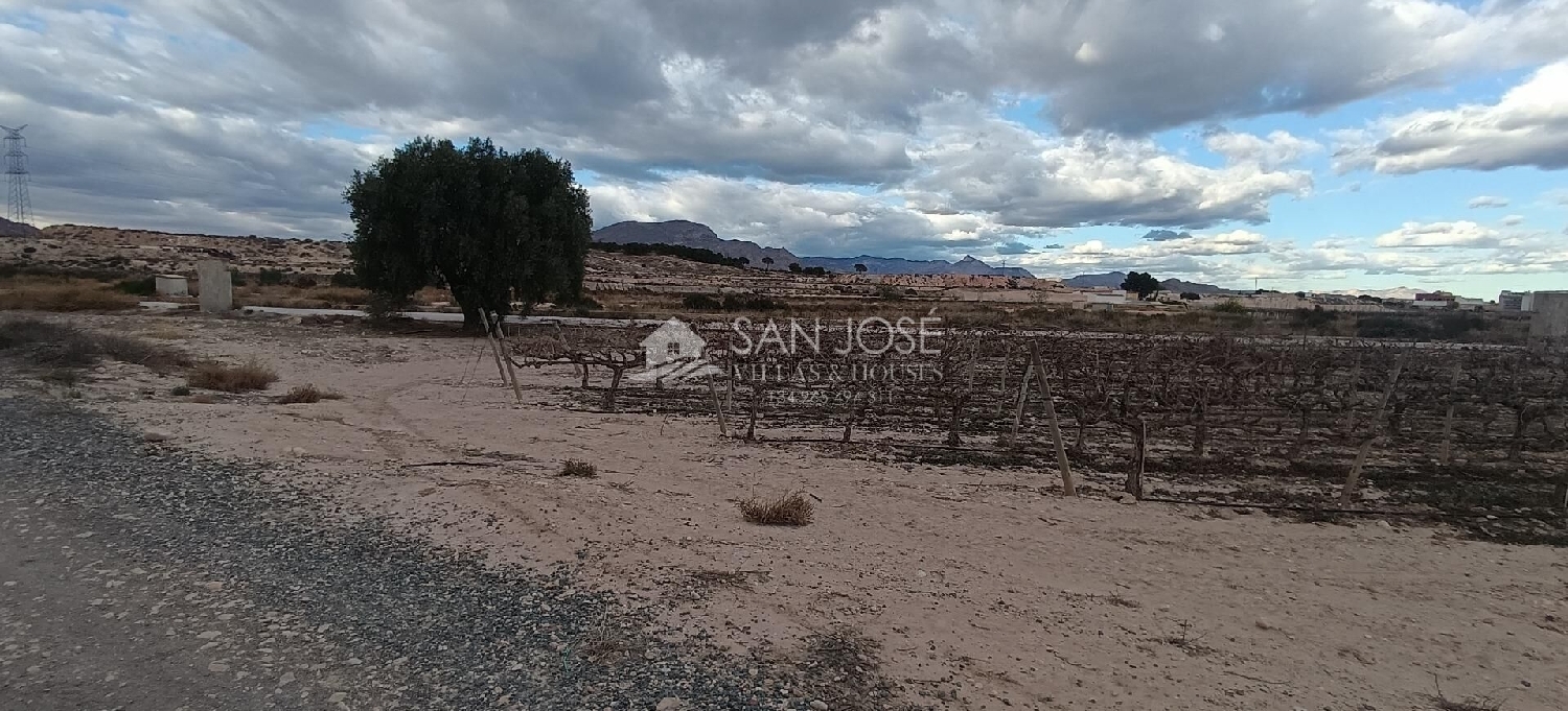  till salu tomt Monforte Del Cid Vinalopó Mitjà 8