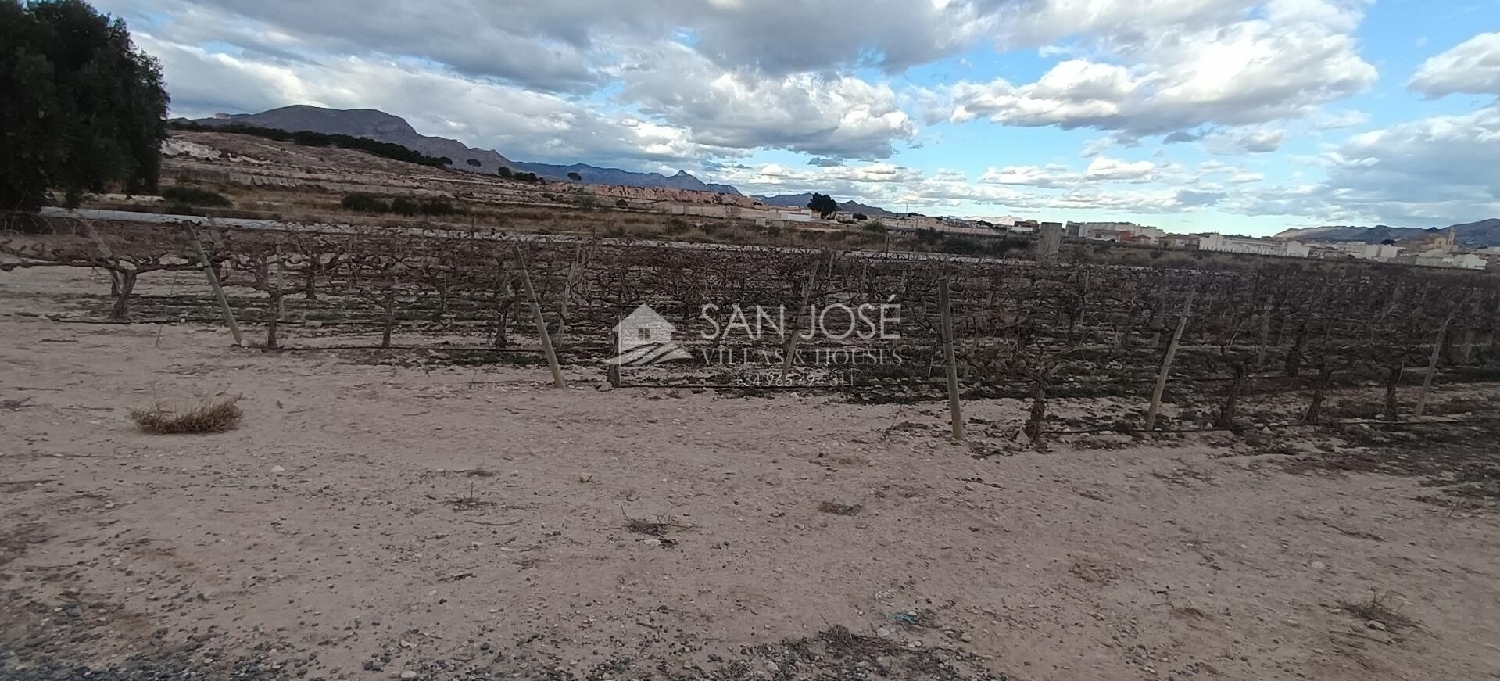  till salu tomt Monforte Del Cid Vinalopó Mitjà 4