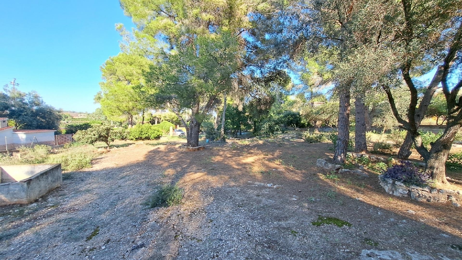  till salu tomt Monte Júcar Ribera Alta 1