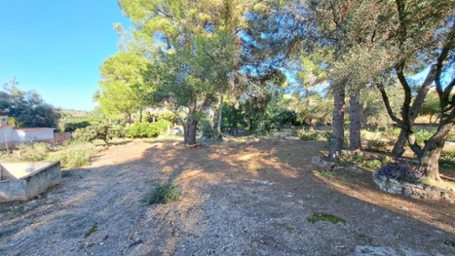 Monte Júcar Ribera Alta tomt foto 6257376