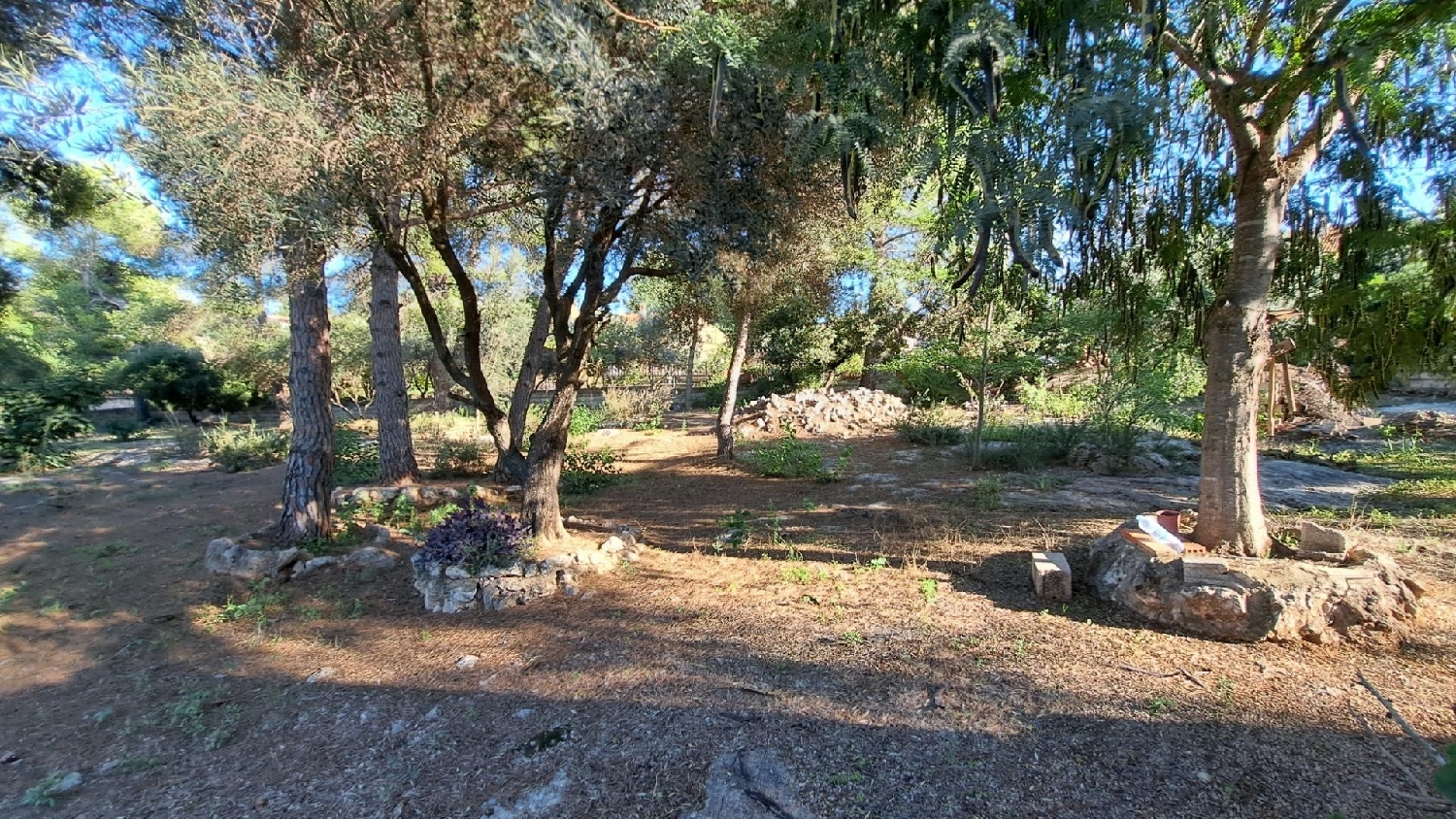 till salu tomt Monte Júcar Ribera Alta 2