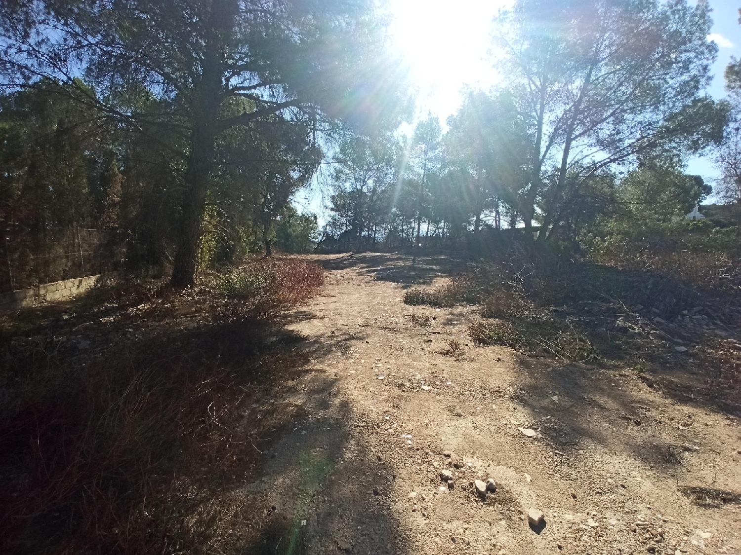 till salu tomt Monte Júcar Ribera Alta 2