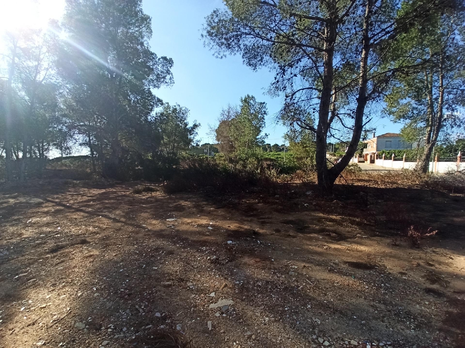  till salu tomt Monte Júcar Ribera Alta 6