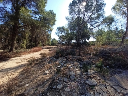 Monte Júcar Ribera Alta tomt foto 6257404