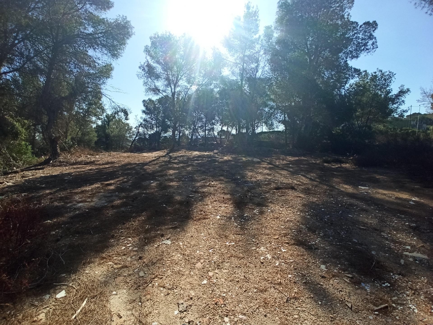  till salu tomt Monte Júcar Ribera Alta 4