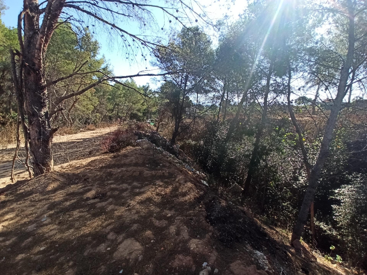 till salu tomt Monte Júcar Ribera Alta 3