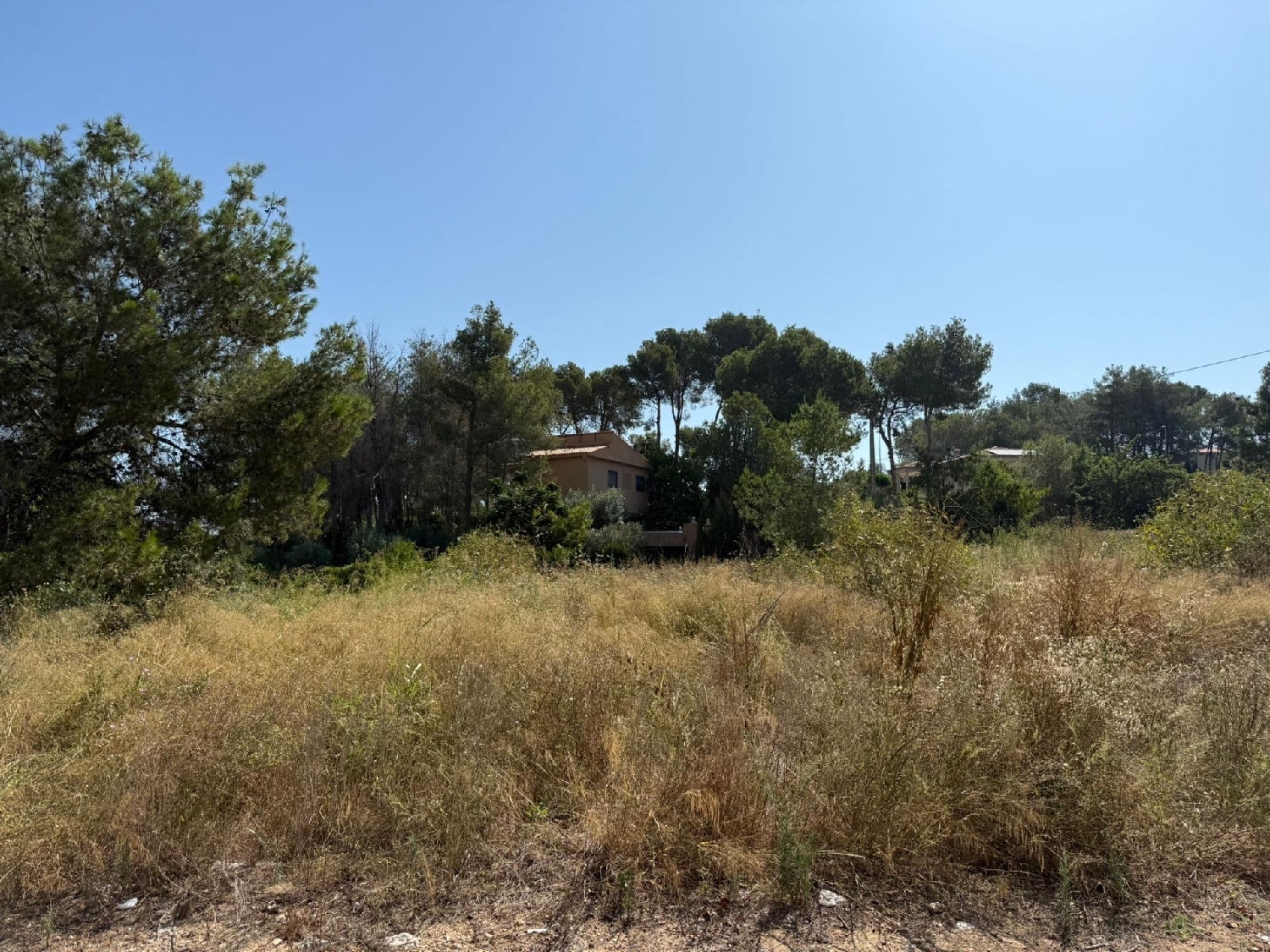  till salu tomt Monte Júcar Ribera Alta 6